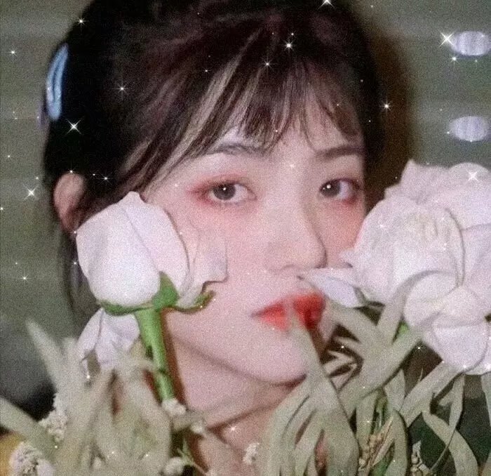 黑色五叶草